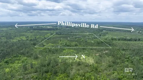 40 Acres in Bay Minette