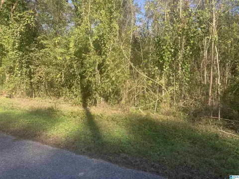 Residential Lot in Bessemer, AL