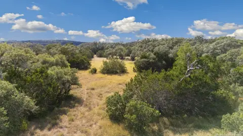 Vintage Oaks Estate Acreage