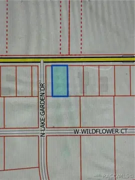 Land For Sale in Dunnellon