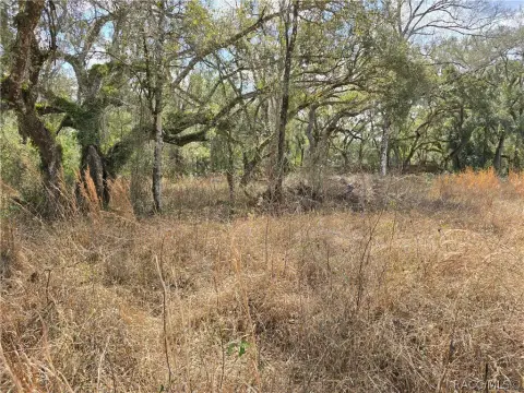 Double Corner Lot Opportunity