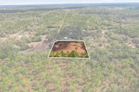 Land Bordering Withlacoochee State Forest