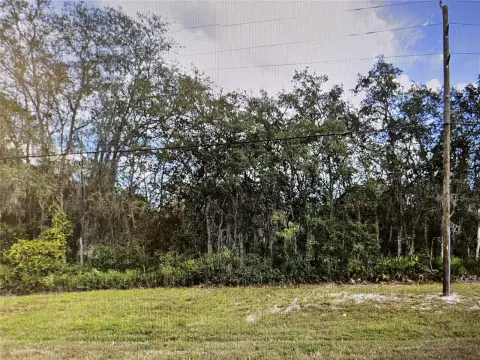 Wooded Specialty Property
