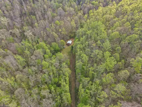 Secluded Wooded Land in Ireland, WV