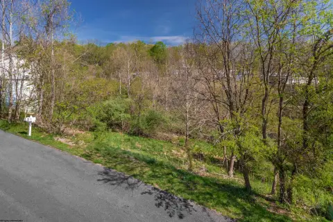 Residential Land in Cheat Lake