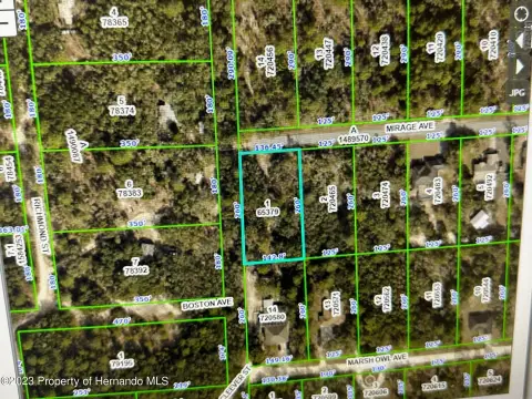 Brooksville Land For Sale