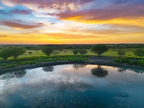 Agricultural Land with Pond