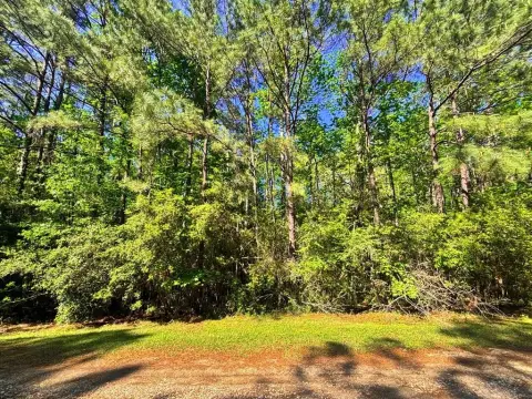 Golf Course Frontage Lot