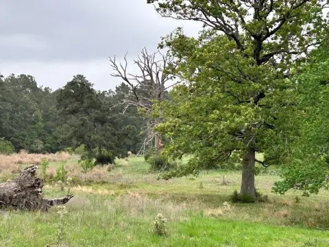 Residential Land in Gated Community