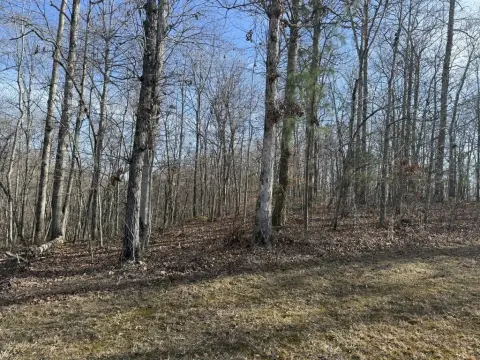 Wooded Lot Near Golf Course