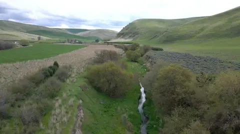 Washington Cattle Ranch with Cropland