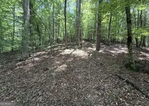 Gated Community Mountain Home Lot
