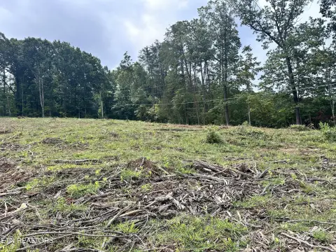 Cleared Acre in Halls Community