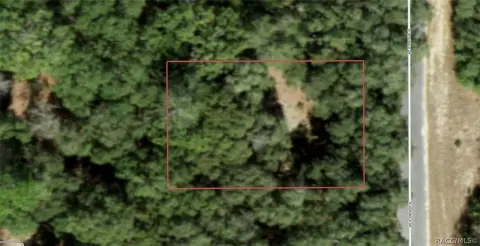 Vacant Lot in Dunnellon, FL