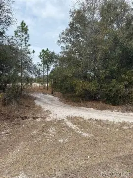Wooded Acre Lot in Crystal River