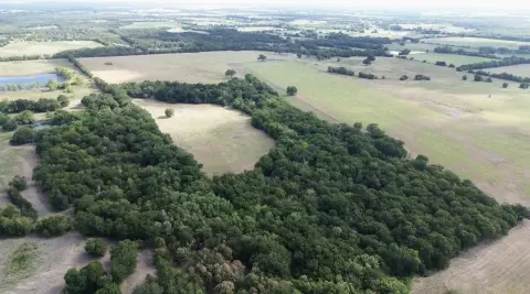 Agricultural Land with Wooded Acreage