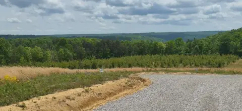 Dunlap, TN Land For Sale