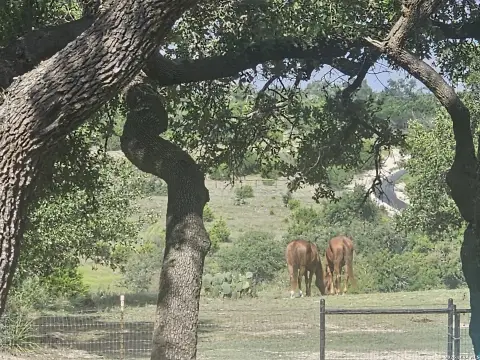 3 Acre Homesite in Mystic Shores