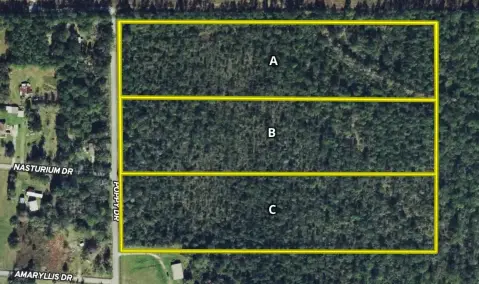 Wooded Recreational Land with Road Access