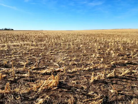 Tillable Cropland with County Road Access