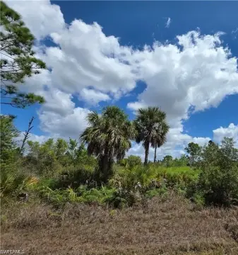 Port Charlotte Homesite Opportunity