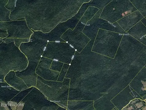 Secluded Wooded Acreage in Rockwood