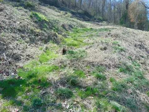 Land Near Golf Course