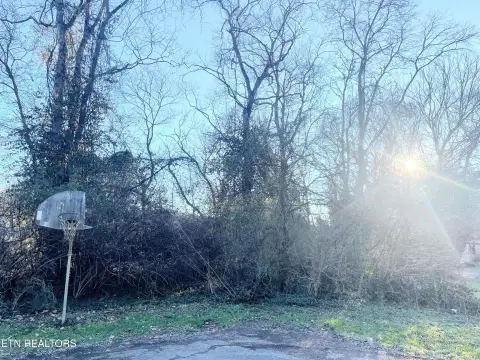 Level Wooded Lot in Knoxville