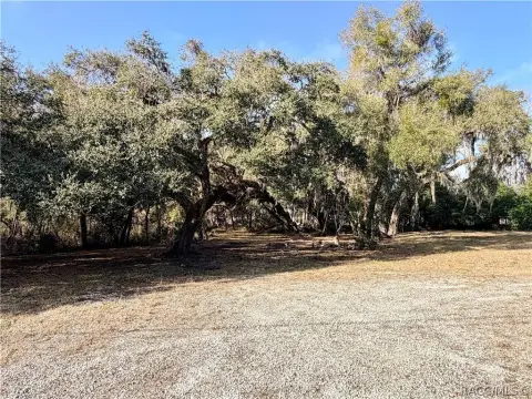 Commercial Land on US 41