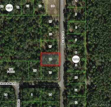 Citrus Springs Homesite Opportunity