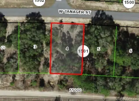 Citrus Springs Buildable Residential Lot
