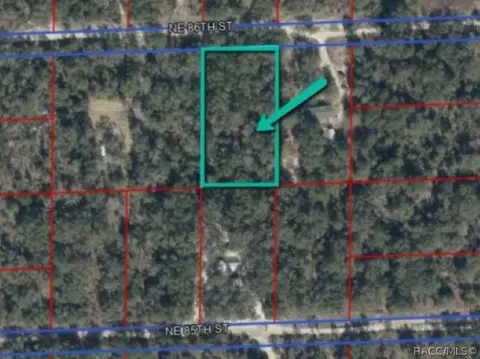 Spacious Treed Lot in Bronson