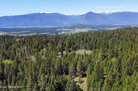 Secluded Forestland with Development Potential