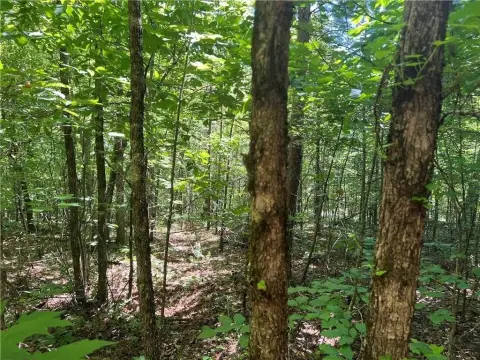 Wooded Residential Home Lot