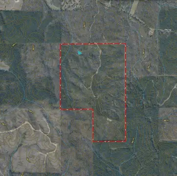 Pine Plantation Recreational Land