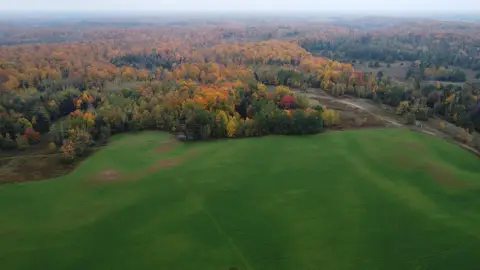 Hunting Land with Food Plots