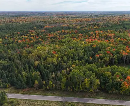 80-Acre Hunting Land