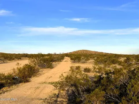 Land with Mojave Views