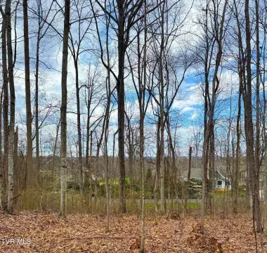 Golf Club Homesite Lot