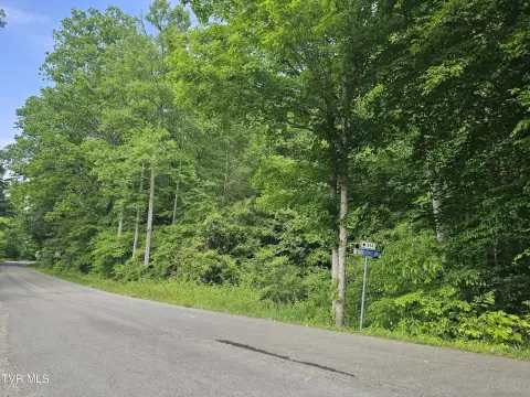 Wooded Mountain Hunting Tract