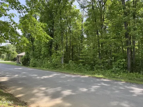 Wooded Sloped Home Lot