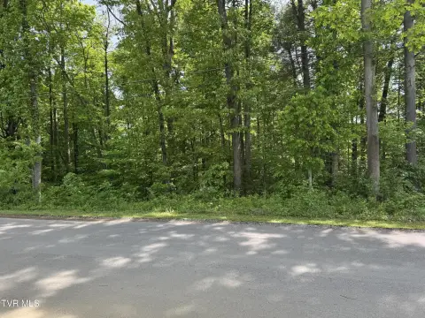 Wooded Sloped Home Site Lot