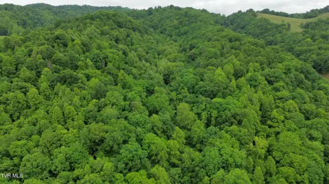 Timber Recreation Tract