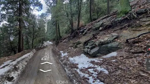 Undeveloped Land in Twin Peaks