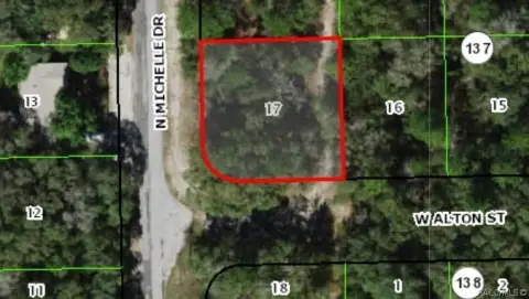 Citrus Springs Buildable Residential Lot