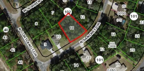 Citrus Springs Buildable Residential Lot