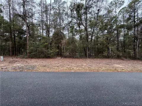 Citrus Springs Wooded Homesite