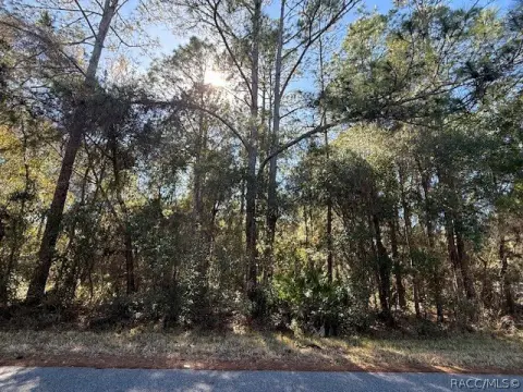 Corner Lot in Dunnellon, FL