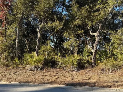 Residential Land in Homosassa, FL