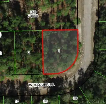 Citrus Springs Buildable Homesite